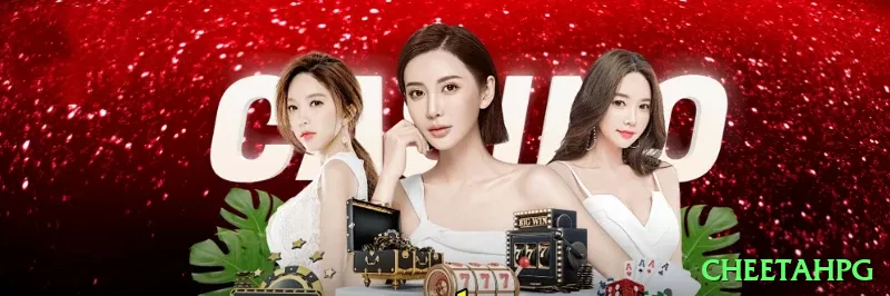 bet5455 Mega New Screenshot 1